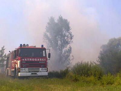 VIDRENJAK: Po�ar niskog raslinja i�ipra�ja