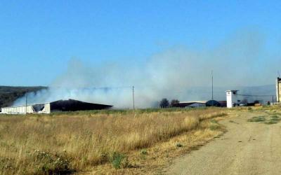 ISTRA: Izgorjelo skladi�te sto�ne hrane na najve�oj istarskoj farmi krava