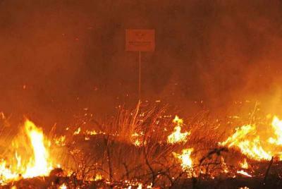 DIVULJE: Dva požara na šibenskom području