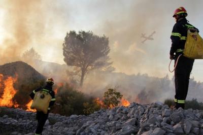 DIVULJE: Gorjela šuma na Ugljanu, kuće su od vatre obranili vatrogasci