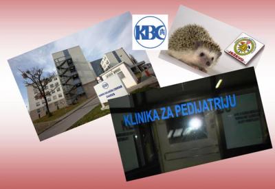 JEŽEVO: Humanitarni rad DVD-a Ježevo