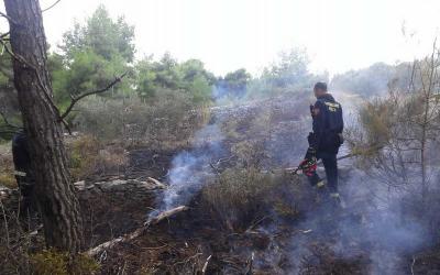 BRAČ: Planulo u Sumartinu
