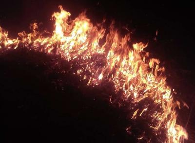 NAŠICE: I na Našičkom području krenuli požari otvorenog prostora