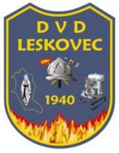 13. zimski kup Leskovec