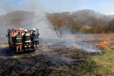 PAKRAC: Kod Kusonja gore trava i grmlje, ga�enje ote�ava vjetar