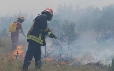 PULA: Gorijelo sme�e i trava